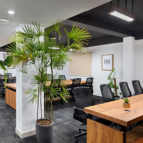 Image of the best coworking space in Thrissur, featuring a collaborative dedicated desk designed for productivity and teamwork in a modern environment.